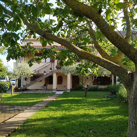 Apartment Dado Пореч Екстер'єр фото